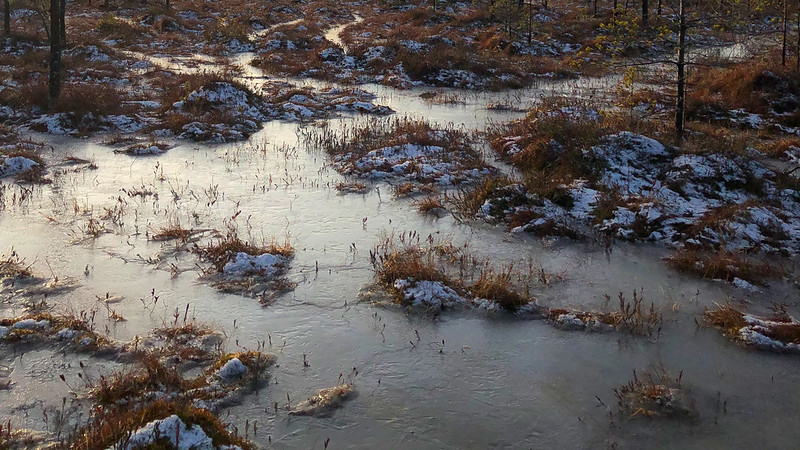 Всемирный день водно-болотных ресурсов